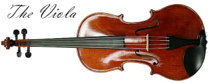 the viola